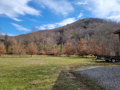 Private Mountain Retreat with Creek in Callaway VA! - image 2