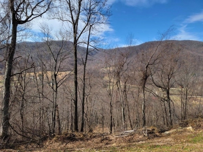 Private Mountain Retreat with Creek in Callaway VA! - image 22