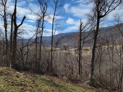Private Mountain Retreat with Creek in Callaway VA! - image 21