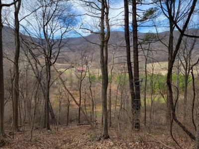 Private Mountain Retreat with Creek in Callaway VA! - image 18