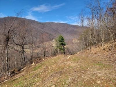 Private Mountain Retreat with Creek in Callaway VA! - image 23