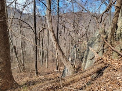 Private Mountain Retreat with Creek in Callaway VA! - image 19