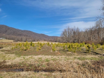 Private Mountain Retreat with Creek in Callaway VA! - image 28