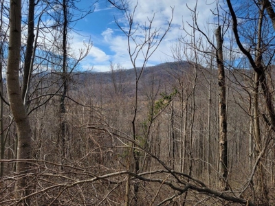 Private Mountain Retreat with Creek in Callaway VA! - image 20