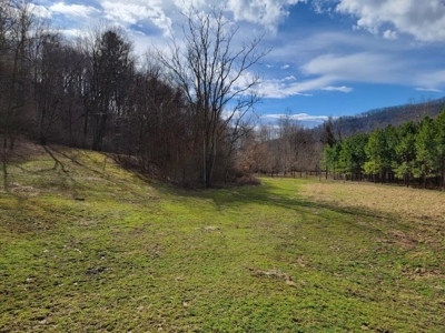 Private Mountain Retreat with Creek in Callaway VA! - image 14