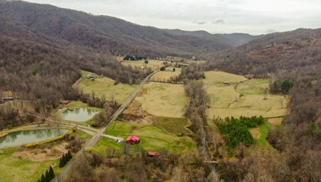 Private Mountain Retreat with Creek in Callaway VA! - image 49
