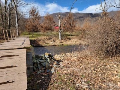Private Mountain Retreat with Creek in Callaway VA! - image 8