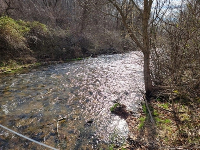 Private Mountain Retreat with Creek in Callaway VA! - image 6