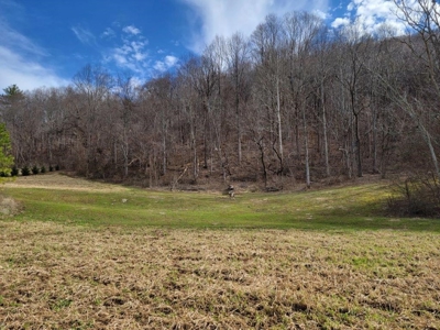 Private Mountain Retreat with Creek in Callaway VA! - image 13