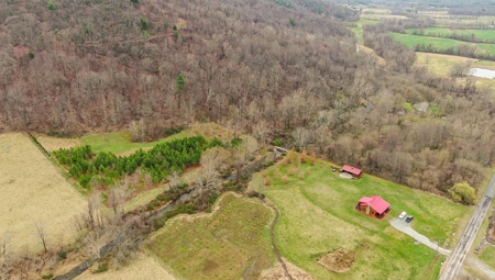 Private Mountain Retreat with Creek in Callaway VA! - image 47