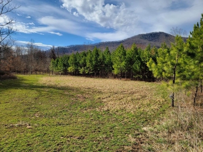 Private Mountain Retreat with Creek in Callaway VA! - image 15