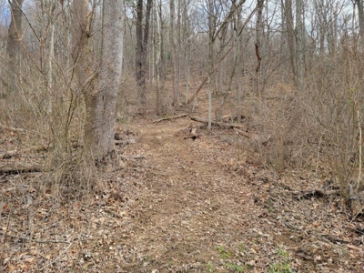 Private Mountain Retreat with Creek in Callaway VA! - image 16
