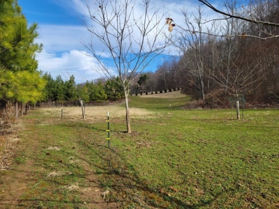 Private Mountain Retreat with Creek in Callaway VA! - image 11
