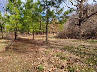 Private Mountain Retreat with Creek in Callaway VA! - image 9