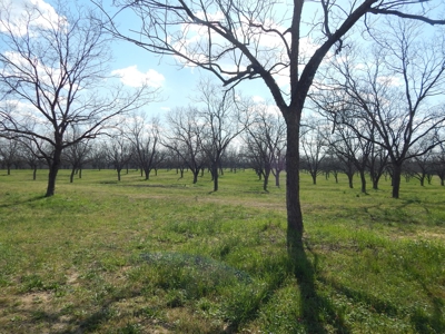 Acreage for Sale in Candler County - image 2