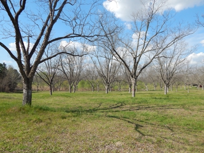Acreage for Sale in Candler County - image 3