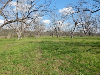 Acreage for Sale in Candler County - image 8