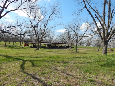 Acreage for Sale in Candler County - image 4
