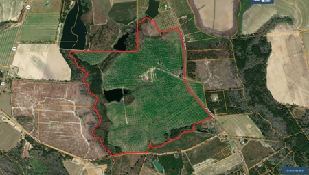 Acreage for Sale in Candler County - image 1