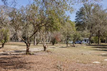 3/2 Country Home in Suwannee County, FL For Sale - image 4