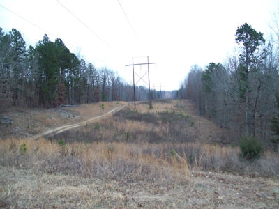 40 +/- Acres Timber Property near Clearwater Lake - image 24