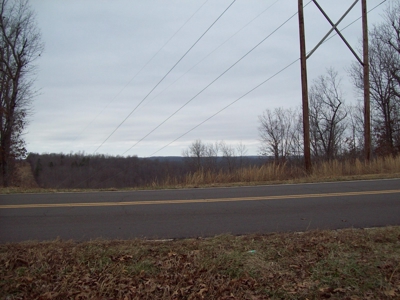40 +/- Acres Timber Property near Clearwater Lake - image 23