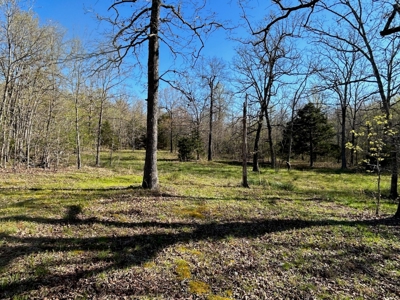 Hunting/Timber Land For Sale in the Ozarks! - image 8