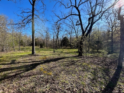Hunting/Timber Land For Sale in the Ozarks! - image 9