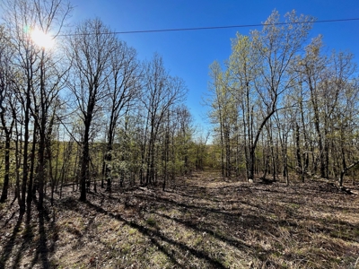 Hunting/Timber Land For Sale in the Ozarks! - image 5