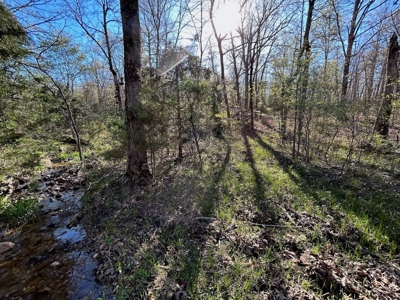 Hunting/Timber Land For Sale in the Ozarks! - image 20