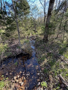 Hunting/Timber Land For Sale in the Ozarks! - image 19