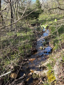 Hunting/Timber Land For Sale in the Ozarks! - image 16