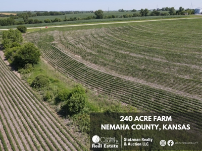 Nemaha  County, Ks ~ 240 Acre Farm - image 2