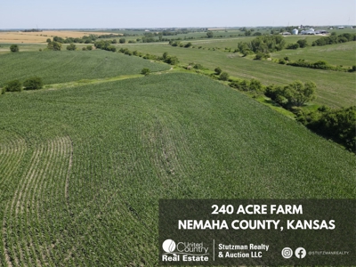 Nemaha  County, Ks ~ 240 Acre Farm - image 3