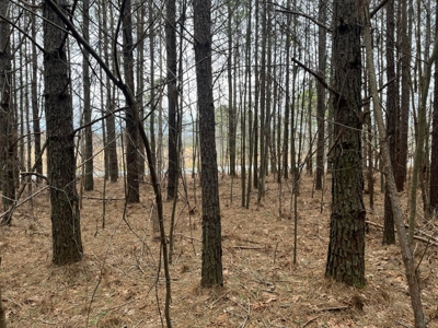 5.59+- Acres on top of the Cumberland Plateau Dunlap - image 1