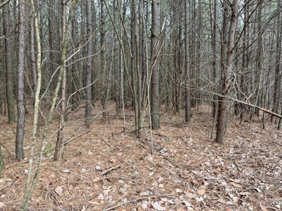 5.59+- Acres on top of the Cumberland Plateau Dunlap - image 14