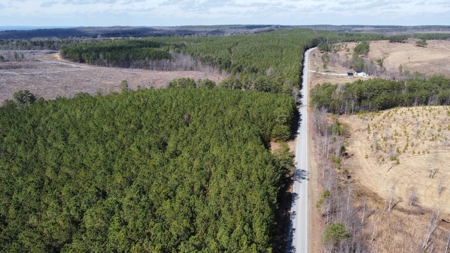 5.59+- Acres on top of the Cumberland Plateau Dunlap - image 3