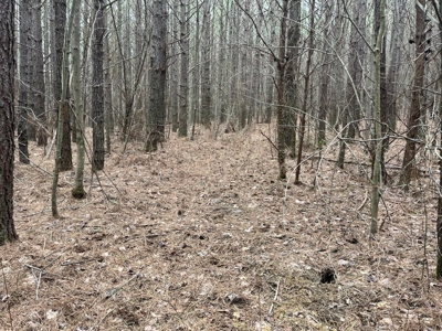 5.59+- Acres on top of the Cumberland Plateau Dunlap - image 8
