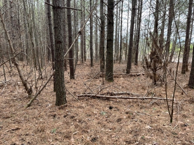 5.59+- Acres on top of the Cumberland Plateau Dunlap - image 16