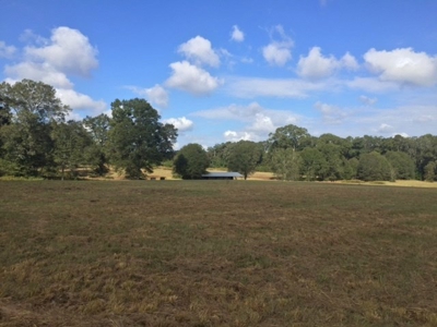 Prime Commercial or Residential Land for Sale Pike County MS - image 7