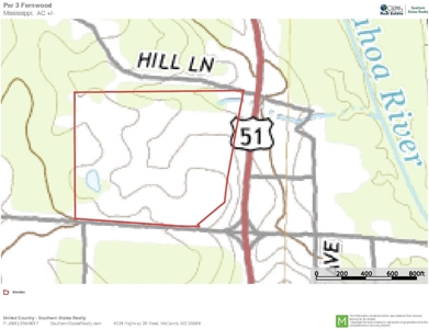 Prime Commercial or Residential Land for Sale Pike County MS - image 11