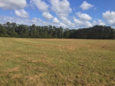 Prime Commercial or Residential Land for Sale Pike County MS - image 1