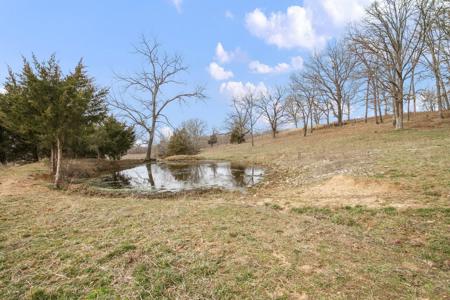 Missouri Ozarks Hobby Farm With Nice Ranch-Style Home - image 7