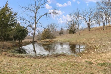 Missouri Ozarks Hobby Farm With Nice Ranch-Style Home - image 18