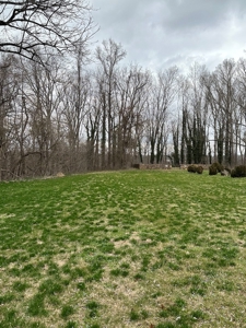 Historical Home for Sale in Bassett VA! - image 2