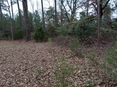 LARGE COUNTRY HOME on 27.10 ACRES FOR SALE in Antlers, OK - image 13