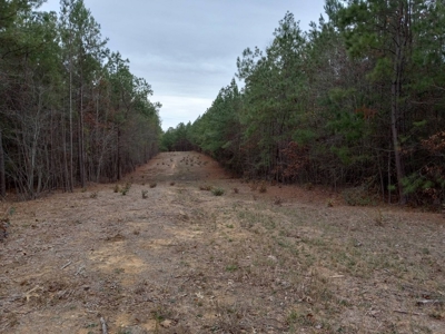 LARGE COUNTRY HOME on 27.10 ACRES FOR SALE in Antlers, OK - image 3