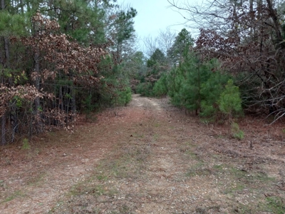 LARGE COUNTRY HOME on 27.10 ACRES FOR SALE in Antlers, OK - image 4