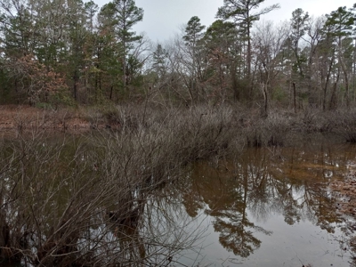 LARGE COUNTRY HOME on 27.10 ACRES FOR SALE in Antlers, OK - image 5