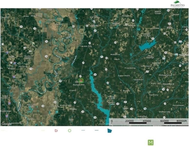 Timberland Property Lafayette County Arkansas - image 3